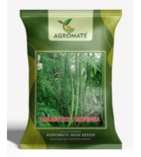 Agromate Moringa Drumstick Tree Seeds 50 grams